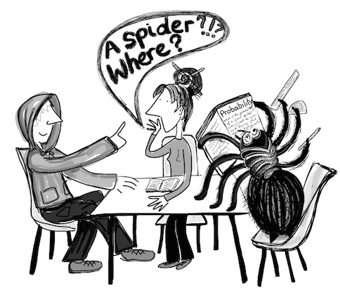 spider-where